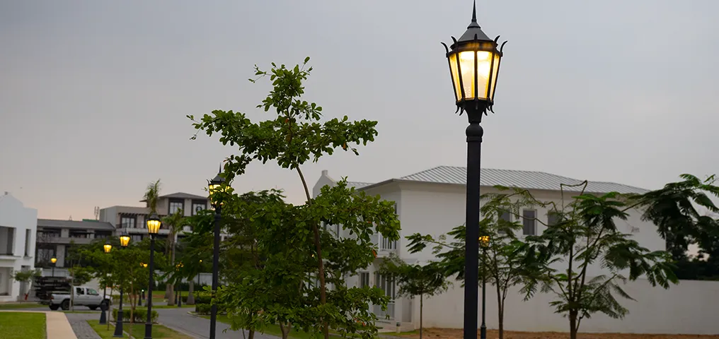 LUZ