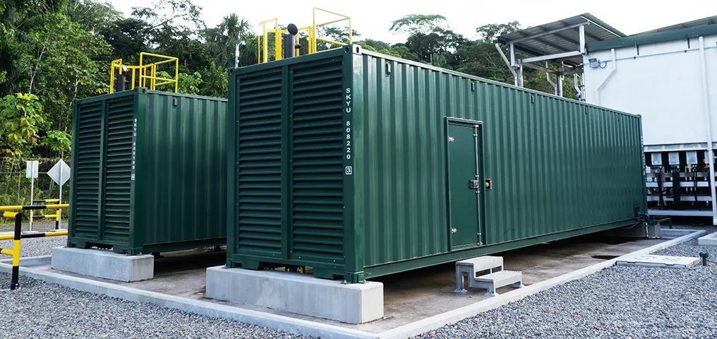 Generador Petro
